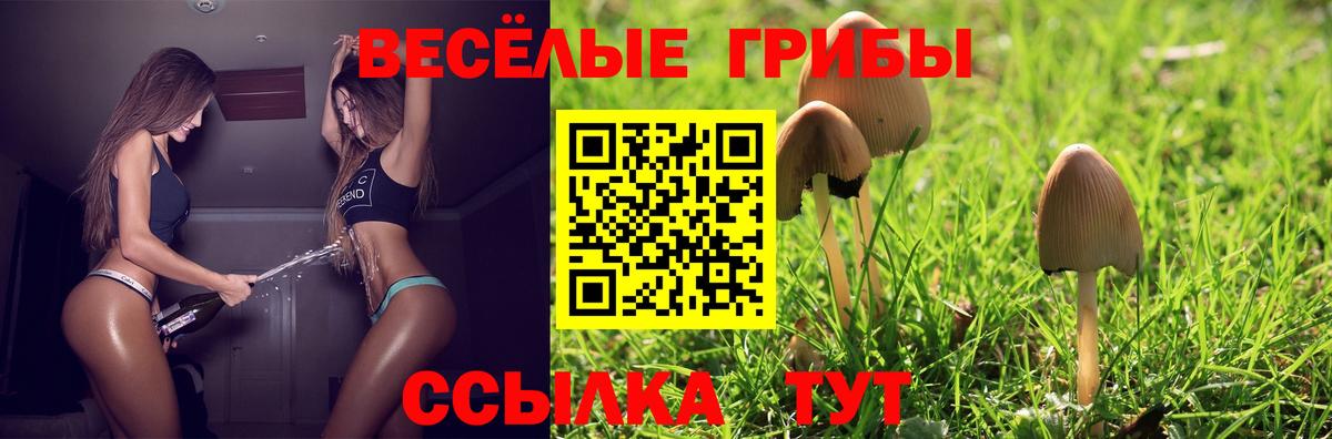 Галлюциногенные грибы GOLDEN TEACHER  Вход с VPN  Псилоцибиновые грибы GOLDEN TEACHER  Озёры 